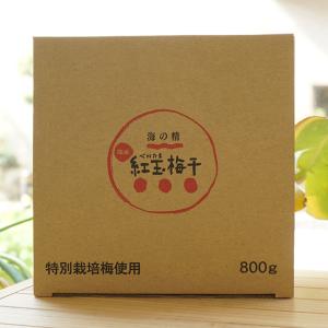 【専用】紀州自然梅「恵」お徳用(200g)Ｘ２個 など 紀州自然梅「恵」お徳用(200g)X2個☆無添加☆無肥料・無農薬の