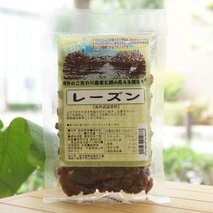 レーズン/120g ネオファーム