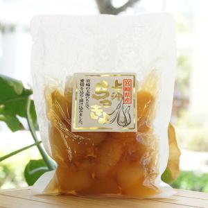 宮崎県産 上沖甘らっきょう 100g 上沖産業