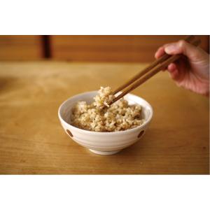 助っ人飯米 もちもち美味しい 玄米ごはん 16...の詳細画像2