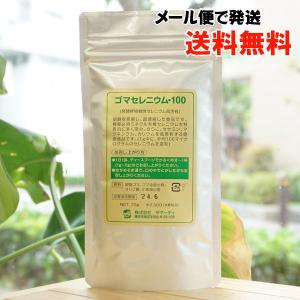 ゴマセレニウム100 70g サマーディ メール...の商品画像