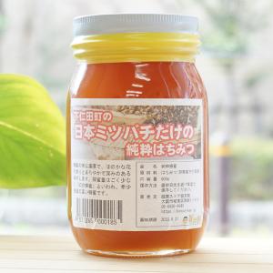 日本ミツバチだけの純粋ハチミツ 600g 和歌山県すさみ町 非加熱 日本ミツバチだけの純粋ハチミツ 600g 和歌山県すさみ町 非加熱