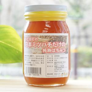 下仁田町の日本ミツバチだけの純粋はちみつ 600g 群馬県下仁田町 非加熱