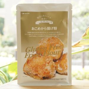 おこめから揚げ粉 100g 辻安全食品
