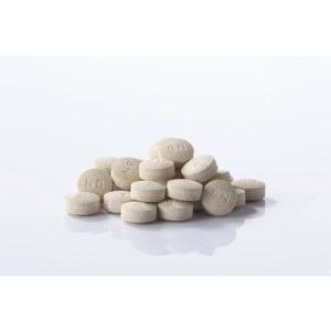 青パパイヤ酵素 tablet 30包 (90g...の詳細画像2