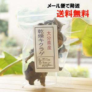 大分県産 乾燥キクラゲ  きくらげ