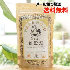 太陽と水と土の力だけで育てました 雑穀畑 (七穀) 200g 原農場 メール便の場合、送料無料