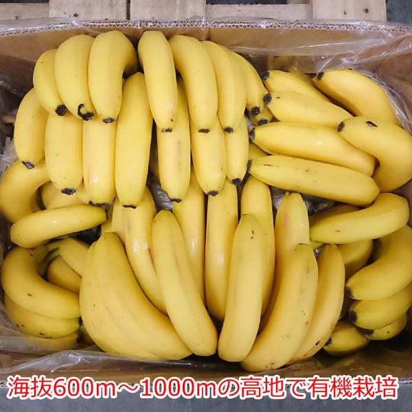 フィリピン産 オーガニックバナナ 1箱 11kg (目安60本以上） メーカー直送