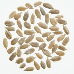 有機ひまわりの種 (生) 25kg アリサン Organic Sunflower Seeds