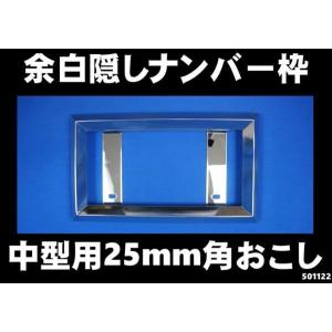 ジェットイノウエ 大型用LEDツインDXナンバープレート枠 ホワイト