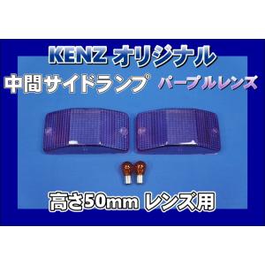 【美品】ファッションレンズ プロフィア テラヴィコーナーレンズ 水色 割れ無し 数量限定 プロフィアテラヴィ用 コーナーランプ＆ドアサイド