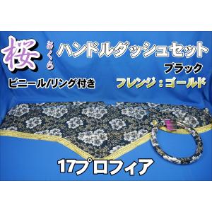 榊*充様 日野プロフィア・17プロフィア　大型　10穴用　エアロカバー 17プロフィア10穴用 エアロセンターカバー左右セット フロント ISO方式