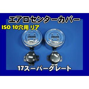 17スーパーグレート　リア10穴用 エアロセンターカバー左右セットISO方式　