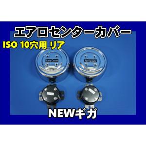 日野用　エアロカバー10穴用　一台分 日野グランドプロフィア リア10穴用 エアロセンターカバー左右