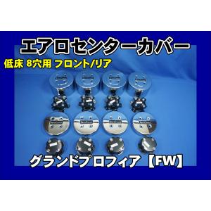 日野用　エアロカバー10穴用　一台分 日野グランドプロフィア リア10穴用 エアロセンターカバー左右