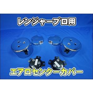 日野グランドプロフィア リア10穴用 エアロセンターカバー左右セット