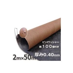 プランテックス（ザバーン）防草シート（２ｍ×５０ｍ）１２５ブラック＆ブラウンとコ型ピン＋GFワッシャーが各１００個ついたお買い得セットグリーンビスタ