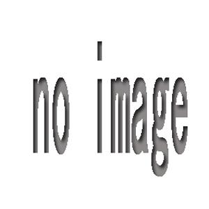 追加送料分