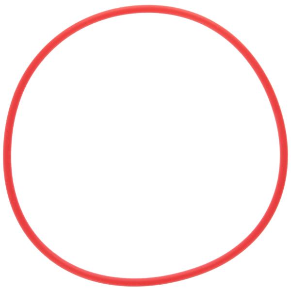 OLYMPUS Oリング 防水プロテクター PT-053用 POL-053