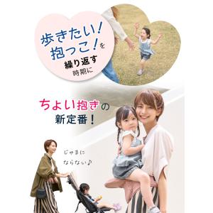 (ケラッタ) HipGo ヒップシート 折り畳...の詳細画像3