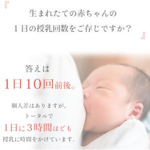 (ケラッタ) 授乳クッション イブル 三日月 ...の詳細画像1
