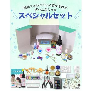 (ケラッタ) レジン セット 初心者 男の子 ...の詳細画像2