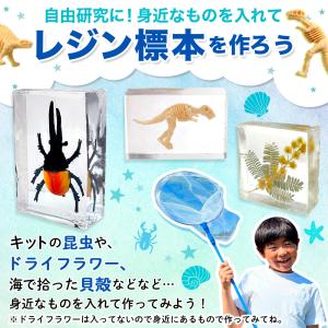 (ケラッタ) レジン セット 初心者 男の子 ...の詳細画像3