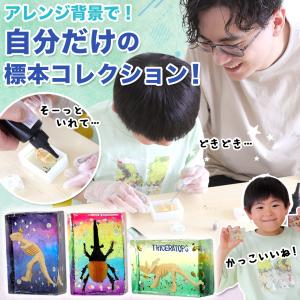 (ケラッタ) レジン セット 初心者 男の子 ...の詳細画像4