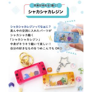 (ケラッタ) レジン セット 初心者 男の子 ...の詳細画像5