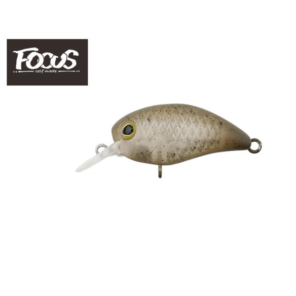 ティモン　パニクラダッシュDR-HF　PaniCra' DR-HF