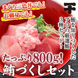 鮪づくしセット まぐろ 3種 たっぷり 800g メバチ ビンチョウ