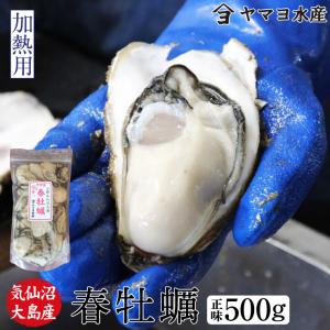 “春牡蠣” 牡蠣 【加熱用】 500g 気仙沼大島産  期間限...
