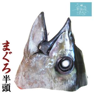 まぐろの頭 (1／2カット×1個) 村田漁業 気仙沼 鮪 まぐろ B級グルメ かぶと焼き 迫力満点！BBQ (バーベキュー) にぴったり！