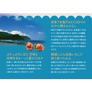 おさしみむきほや 冷凍 (200g) 横田屋本...の詳細画像2
