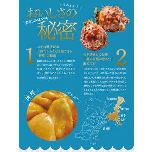 おさしみむきほや 冷凍 (200g) 横田屋本...の詳細画像3