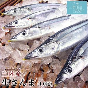 三陸産 生さんま (116g以上10尾) 丸繁商店 気仙沼 三陸 秋刀魚 旬 水揚げ