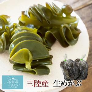 生めかぶ 新芽！ 三陸産 気仙沼 生めかぶ (250g×2袋) 丸繁商店 三陸 メカブ 東北 生 新物 ヘルシー 旬 期間限定