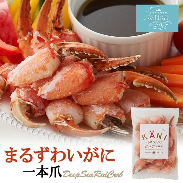まるずわいがに 1本爪 (300g) カネダイ 東北 気仙沼 カニ かに物語 ちょうどいい 蟹の爪 ...