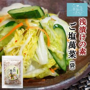 浅漬けの素 ご塩萬菜 (ごえんまんさい) 送料無料 (100g 袋タイプ ※ポスト投函) 小野徳 調味料 漬け物 焼き魚 炒め物 簡単｜kesennuma-san