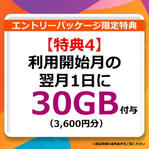 30GB+事務手数料無料 y.u mobile...の詳細画像4
