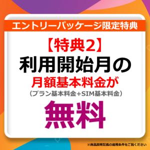 30GB+事務手数料無料 y.u mobile...の詳細画像2