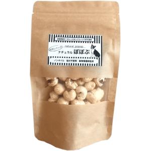 NUTRI BITES フリーズドライサーモン 犬猫用510g 1805224 オメガ3 100
