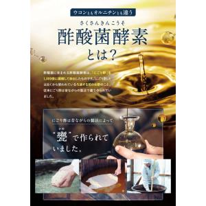 酢酸菌 よいときOne サプリ お試し用 1週...の詳細画像5