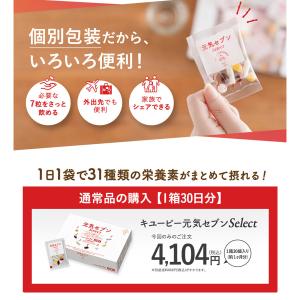 マルチビタミン ビタミンC キユーピー 公式 ...の詳細画像4