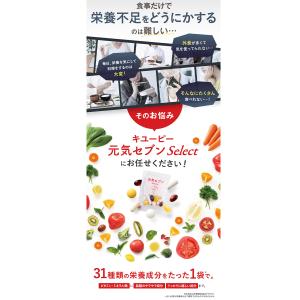 マルチビタミン ビタミンC キユーピー 公式 ...の詳細画像5