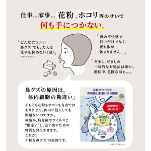 酢酸菌 花粉 花粉症 サプリ キユーピー 公式...の詳細画像4