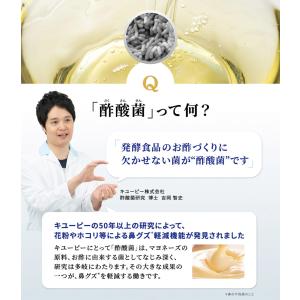 酢酸菌 花粉 花粉症 サプリ キユーピー 公式...の詳細画像5