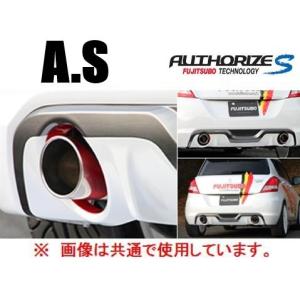 HKS（エッチケーエス） リーガマックスプレミアム エキゾースト