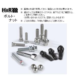 H＆R 平面ボルト (16本) M12×1.25 首下56mm 17HEX プジョー/シトロエン用　12255406｜key-point002