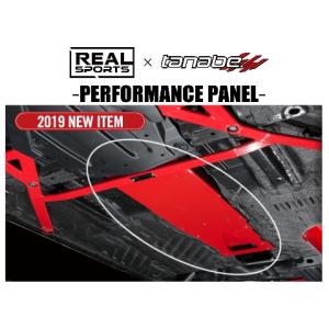 TANABE 送料無料 リアルスポーツ×タナベ フロアブレース (リア TANABE 送料無料 リアルスポーツ×タナベ フロアブレース (リア